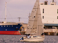 20081012_431_s.jpg
