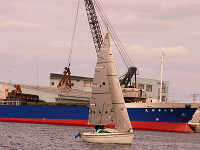 20081012_434_s.jpg
