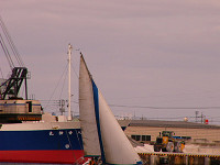 20081012_439_s.jpg