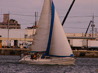 20081012_440_s.jpg