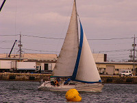 20081012_441_s.jpg