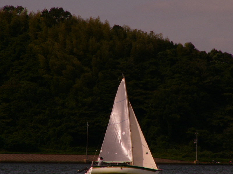 20081012_442.jpg