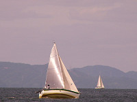 20081012_444_s.jpg