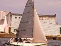 20081012_445_s.jpg