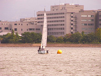 20081012_448_s.jpg
