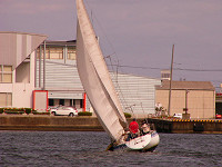 20081012_449_s.jpg