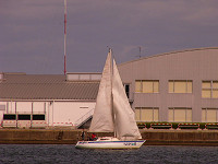 20081012_450_s.jpg