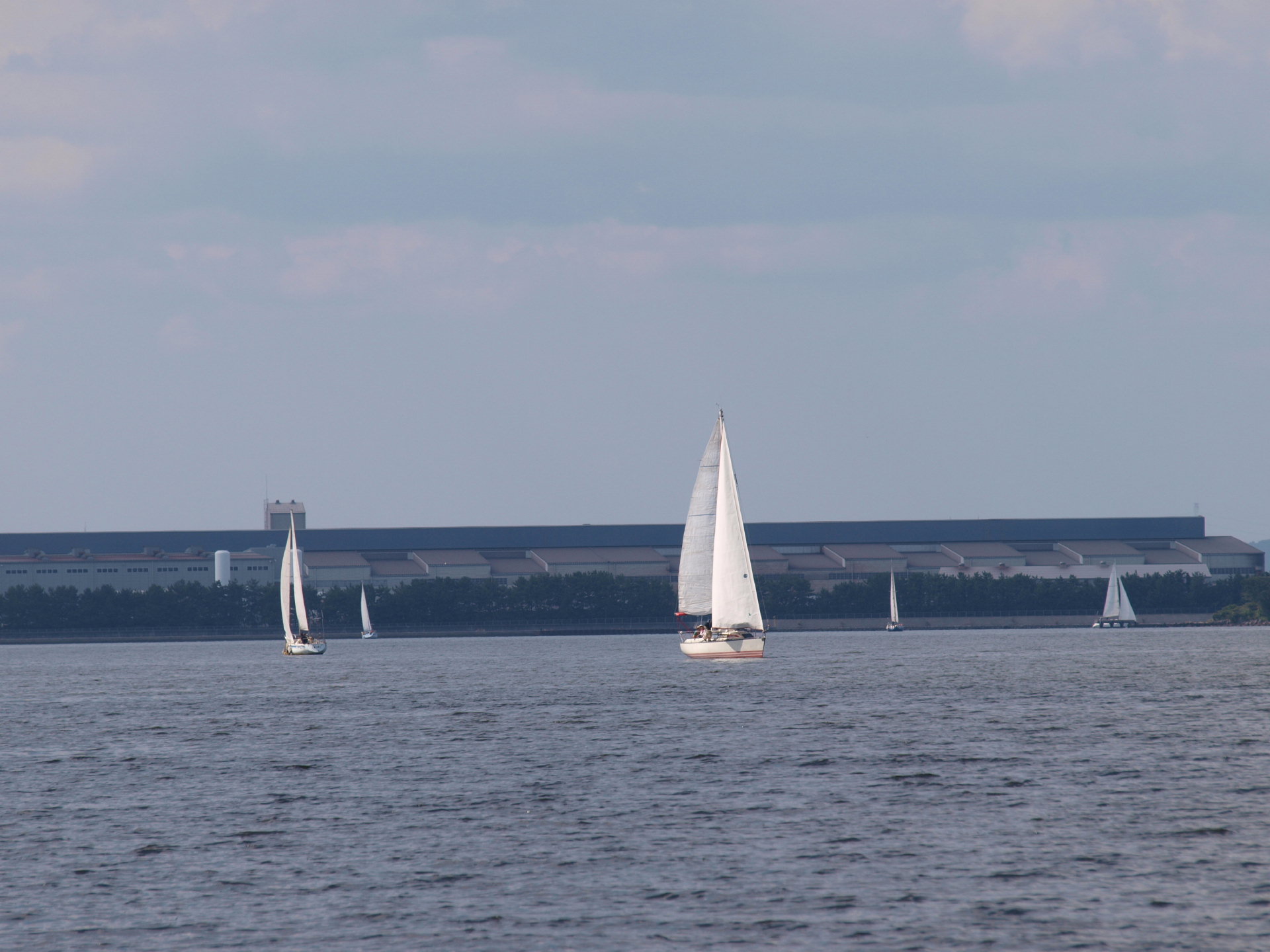 20091011_a56.jpg