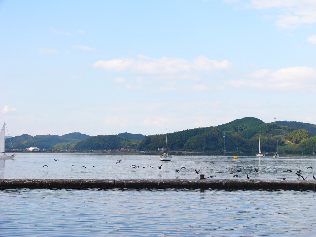 20091011_0051.jpg