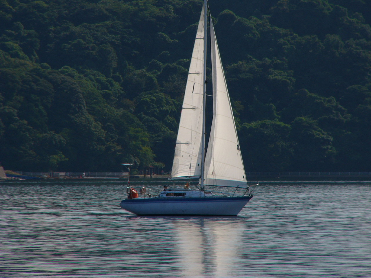20091011_1132.jpg