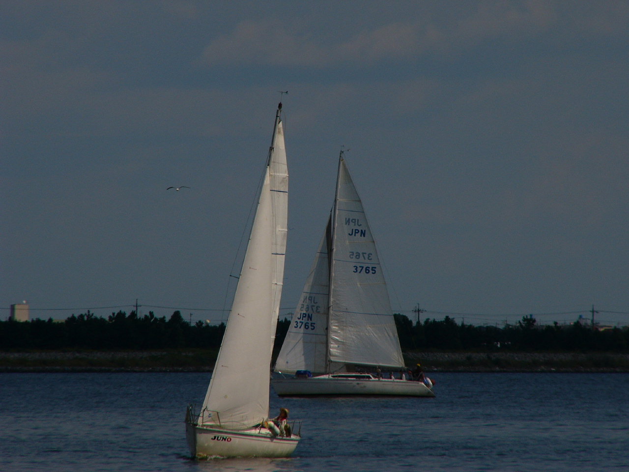 20091011_2247.jpg
