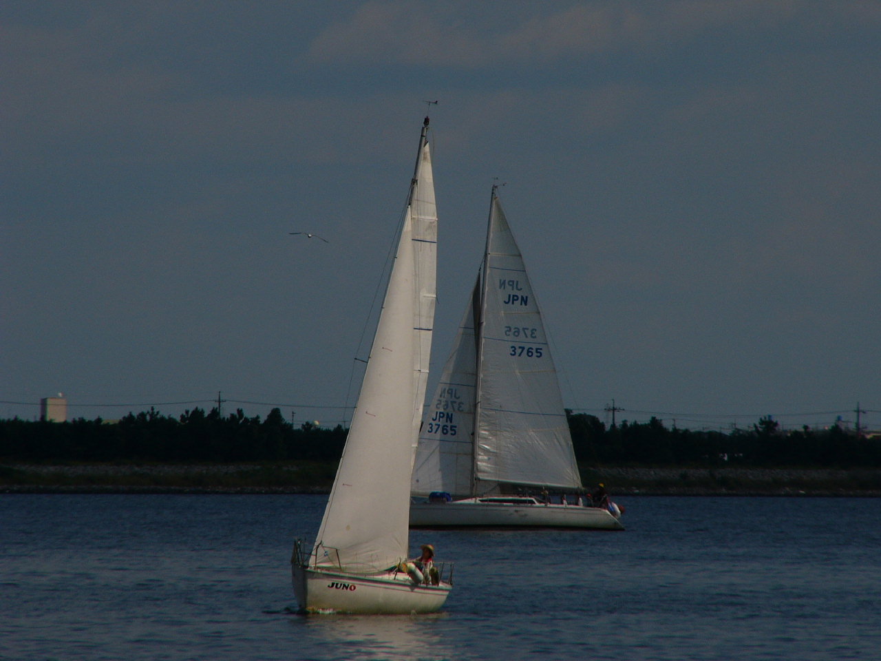 20091011_2248.jpg