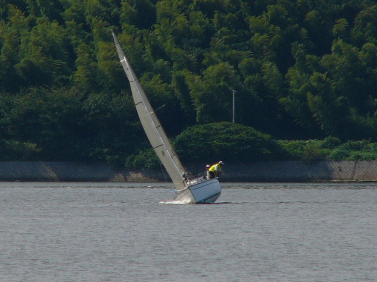 20091011_3121.jpg