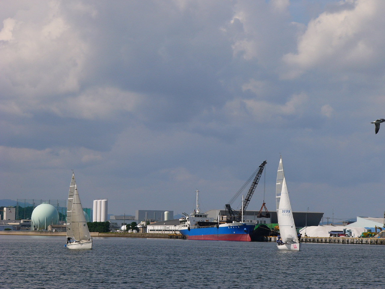 20091011_3126.jpg