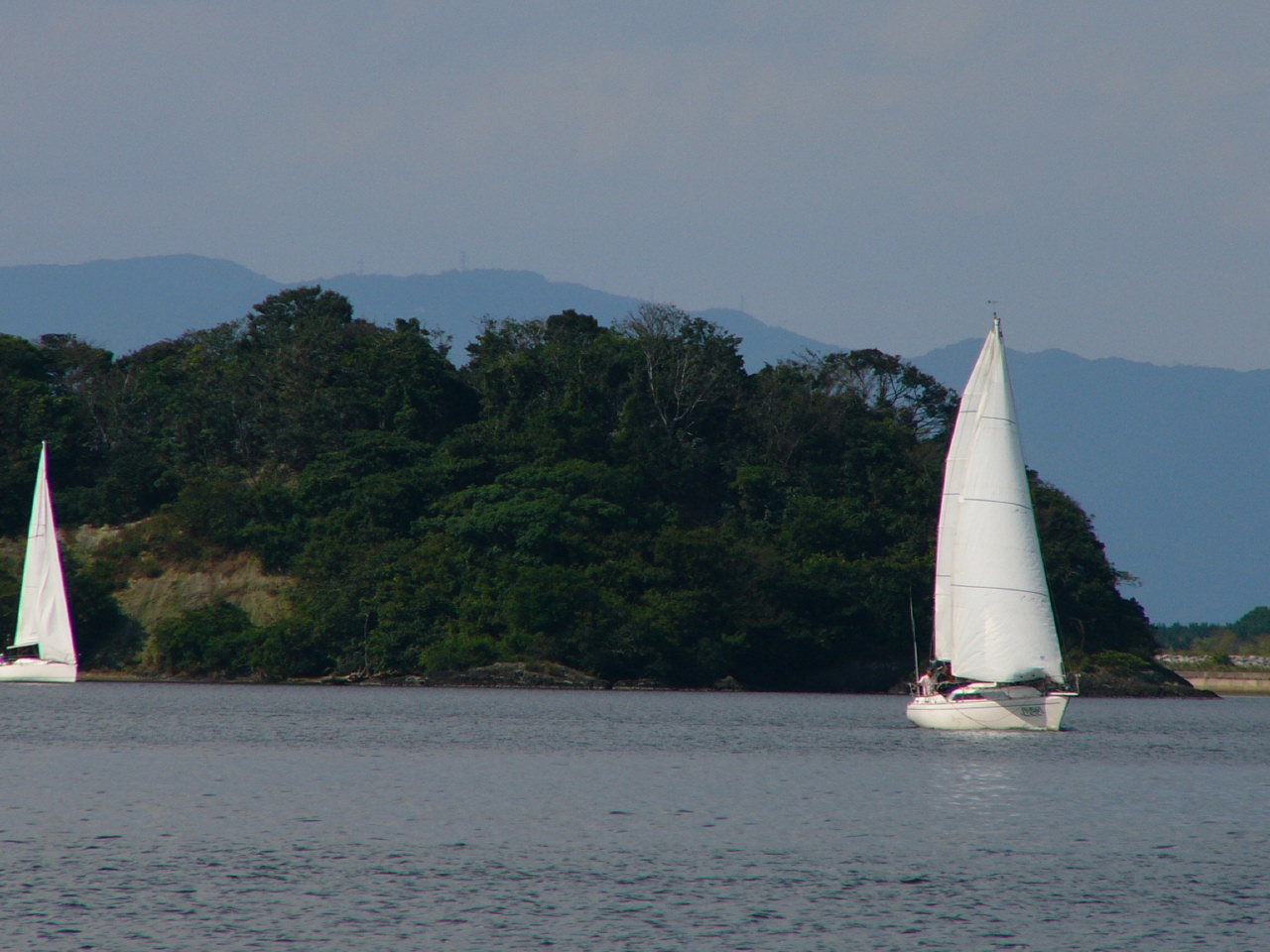 20091011_3141.jpg