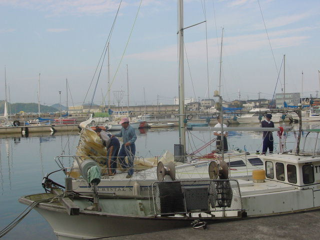 05.jpg