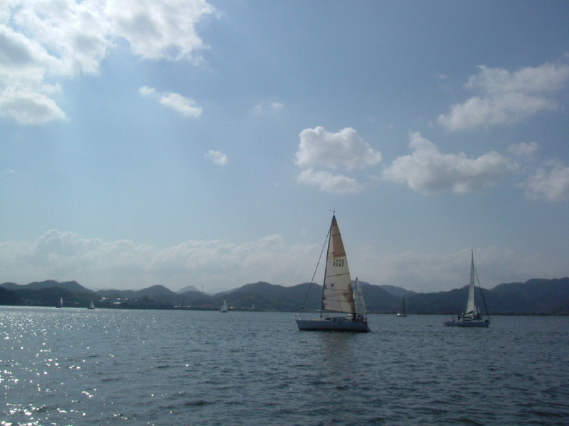 DSCF0254.jpg