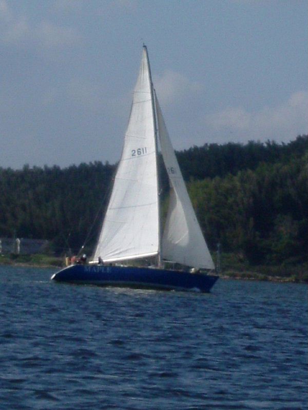 DSCF0288.jpg