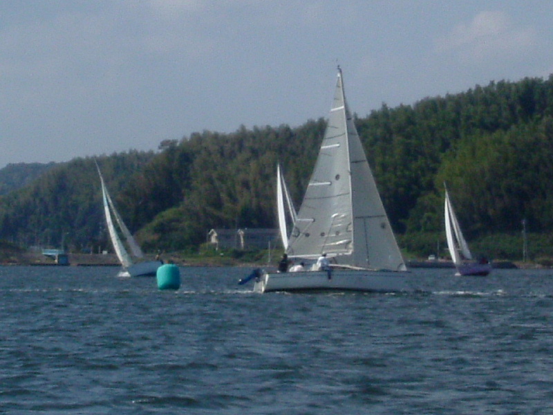 DSCF0303.jpg