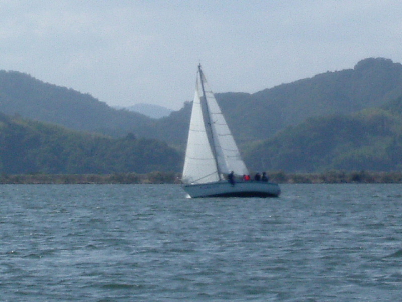 DSCF0331.jpg