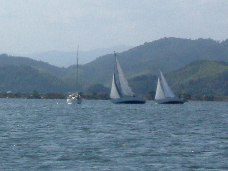 DSCF0334.jpg