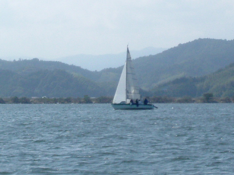 DSCF0337.jpg