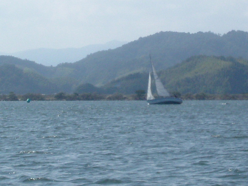 DSCF0341.jpg