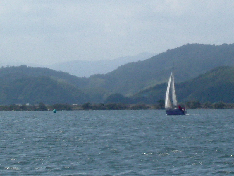 DSCF0343.jpg