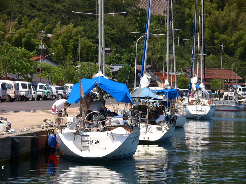 2007kinnyamo_021.jpg