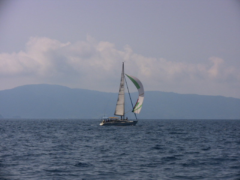 2007kinnyamo_064.jpg