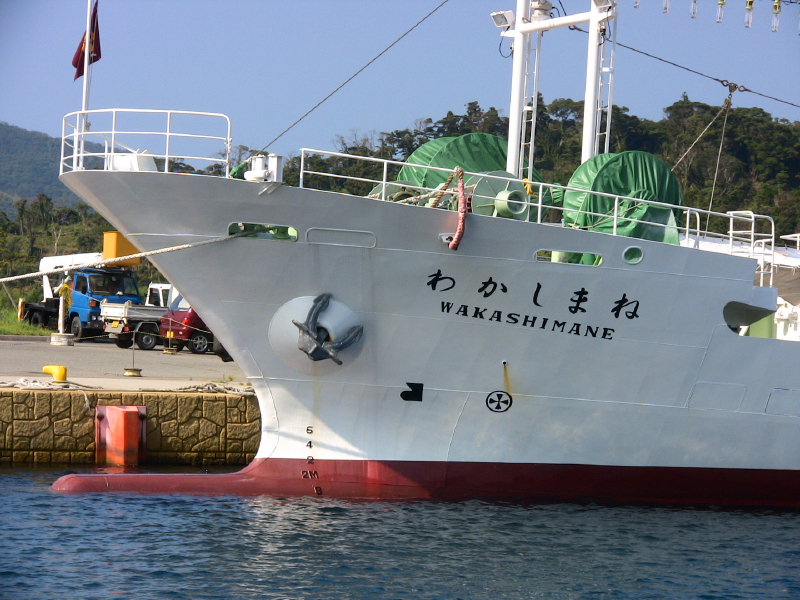 2007kinnyamo_096.jpg