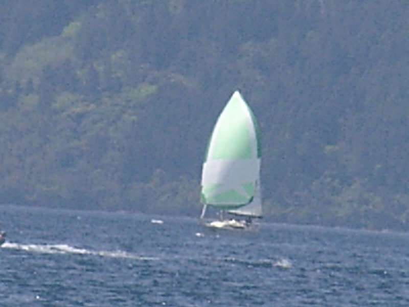 bss2006_043.jpg