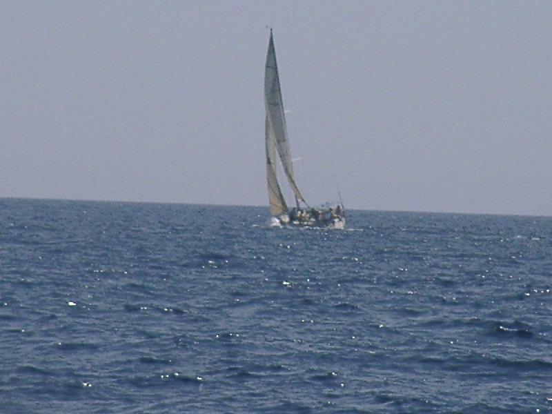 bss2006_072.jpg