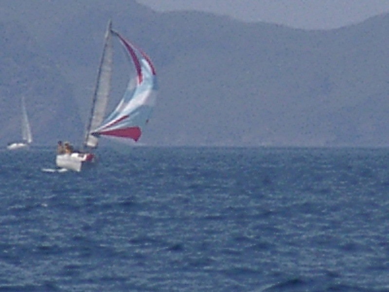 bss2006_073.jpg