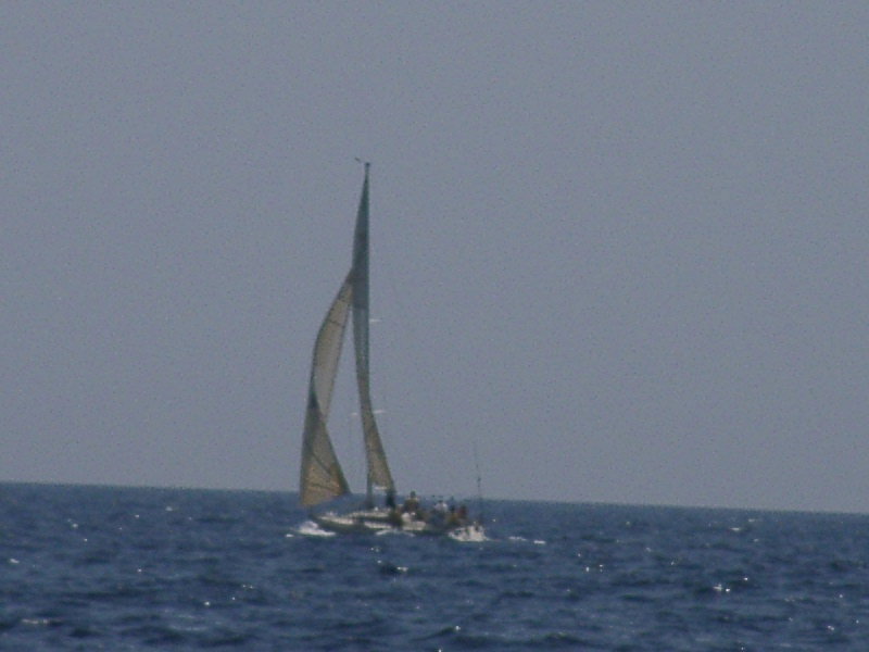 bss2006_075.jpg