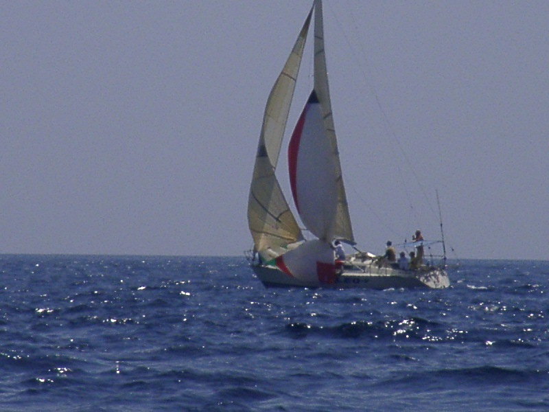 bss2006_082.jpg