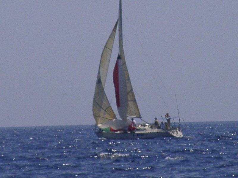 bss2006_083.jpg