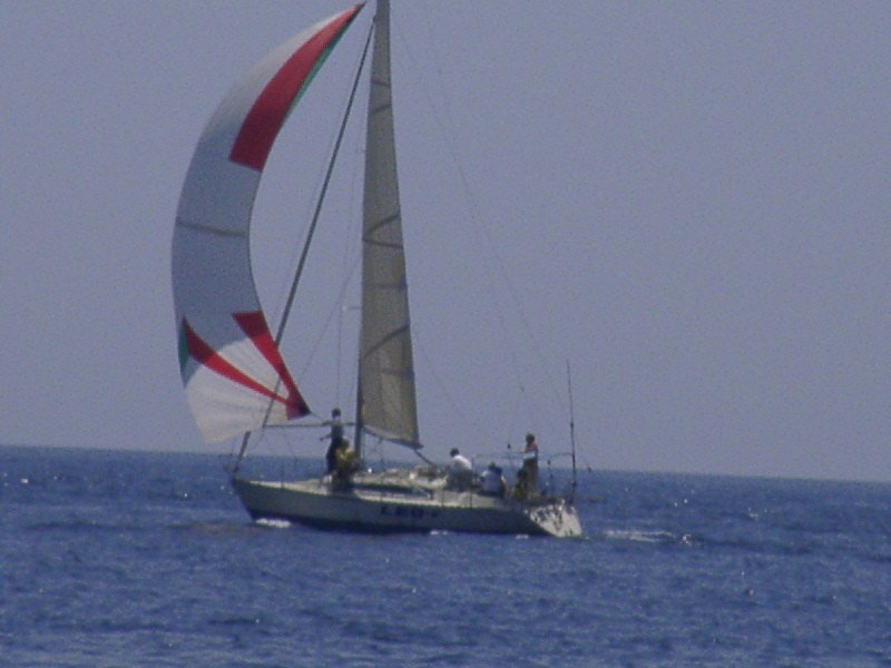 bss2006_085.jpg