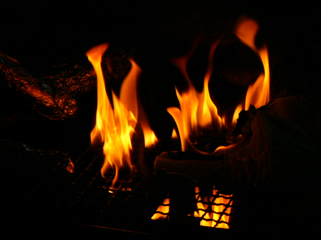 P1220071.JPG