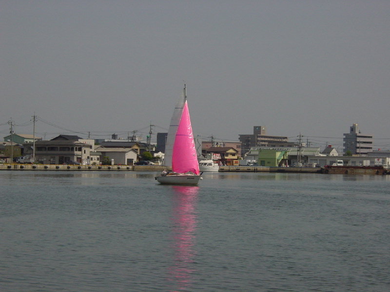 DSC01297.jpg