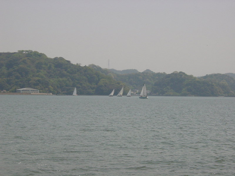 DSC01310.jpg