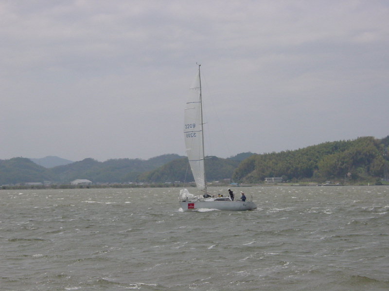 06_sakura_087.jpg