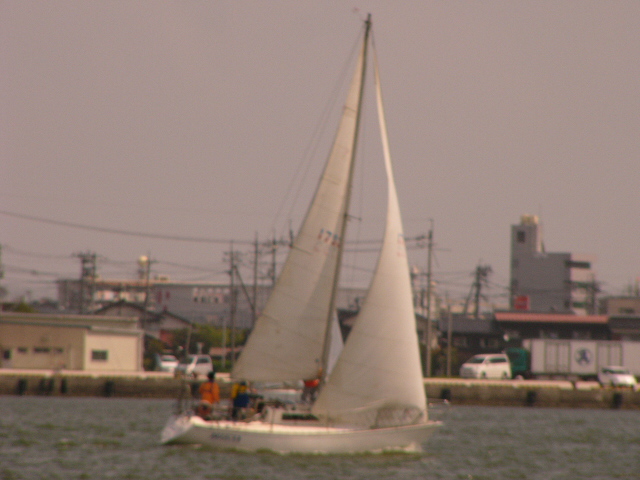 sakura2008r1_054.JPG