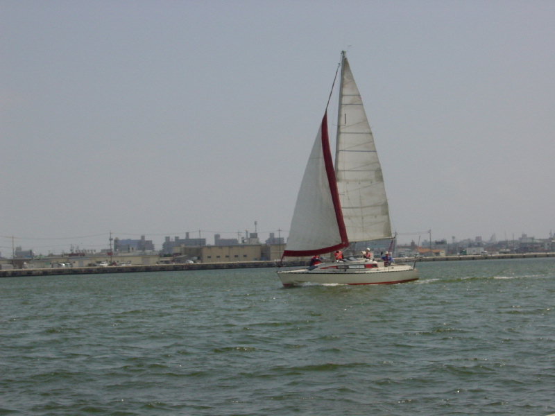 sakura2008r2_02.jpg
