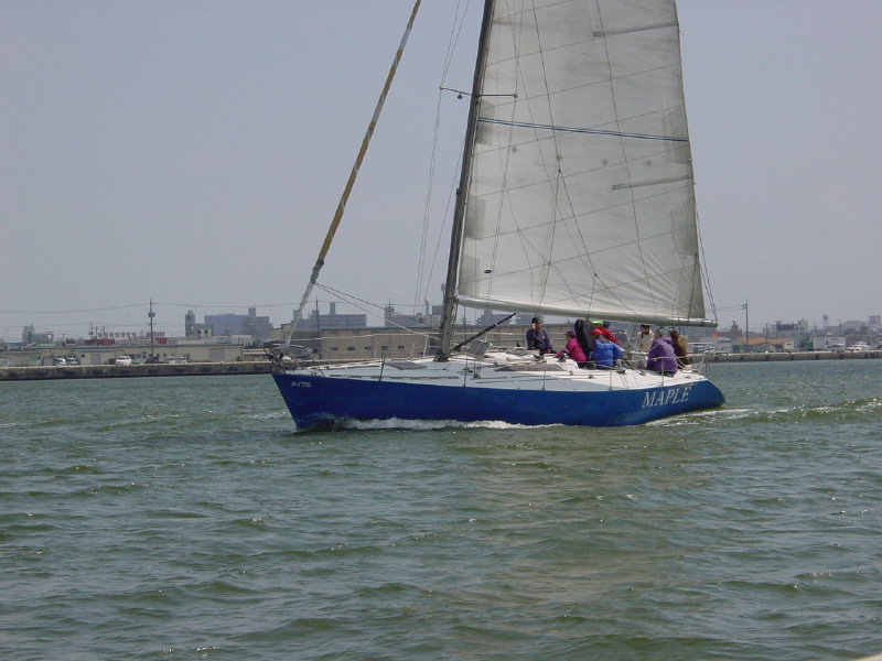 sakura2008r2_03.jpg