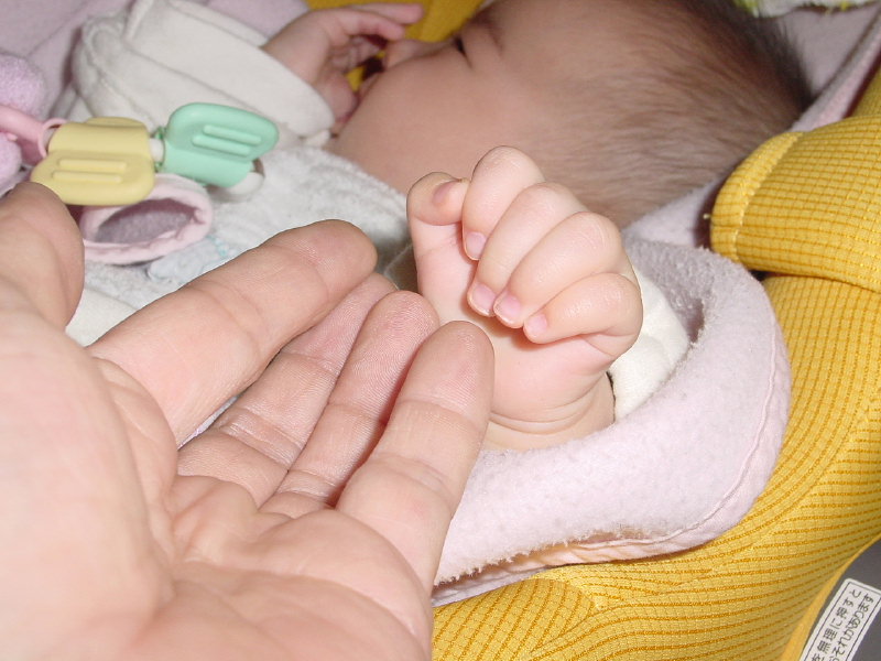 2008_0216_17.JPG