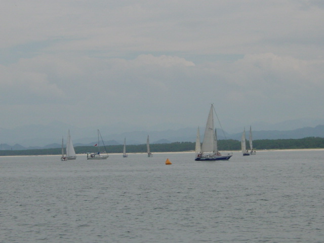 DSC00430.JPG