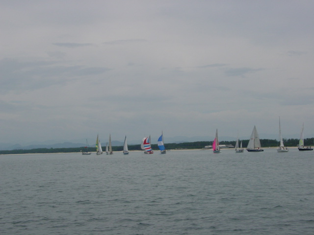 DSC00431.JPG