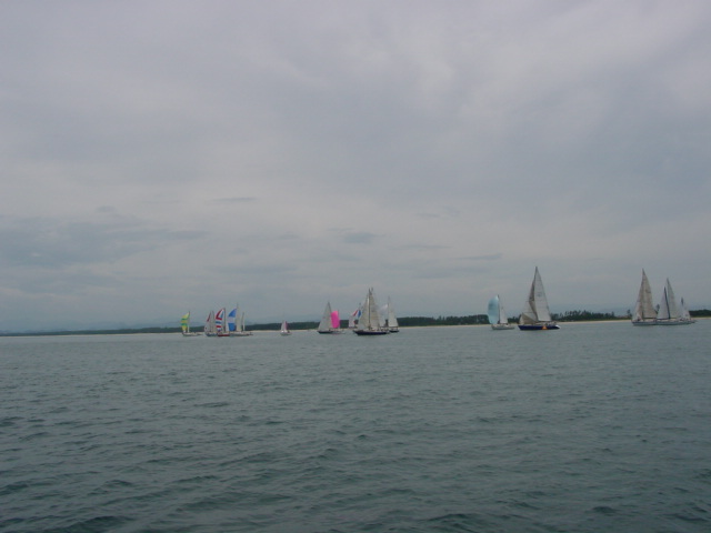 DSC00433.JPG