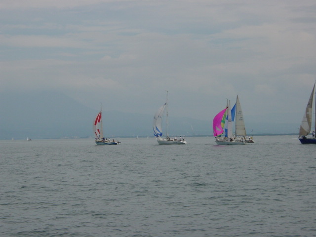DSC00437.JPG